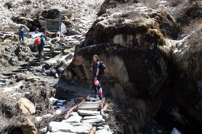 Private 12-Day All Inclusive Guided Annapurna Base Camp Trek Tour - Meal Inclusions
