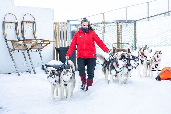 Private 2-Hour Dog Sledding Tour, Akureyri - Important Information