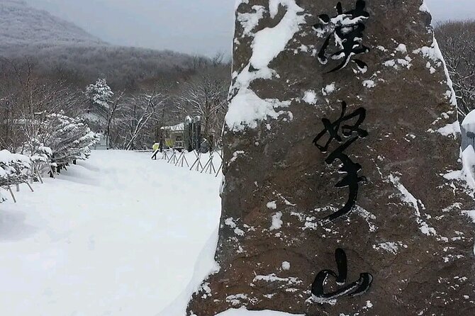 Private 2days Jumbo Taxi Experienced Driver Tour in Jeju Island - Meeting and Pickup