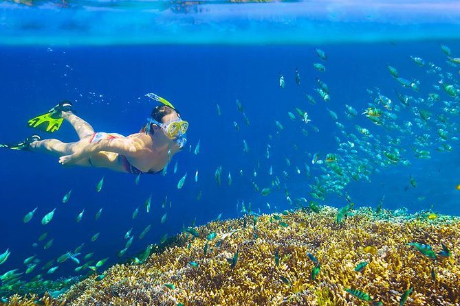 Private 3-Hour Snorkeling Tour on Glass Bottom Boat - Meeting and Pickup Details