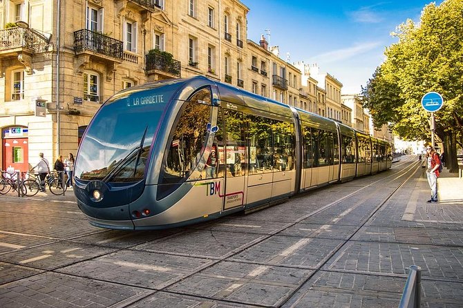 Private 3-Hour Walking Tour of Bordeaux With Official Tour Guide - Assistance and Booking Information