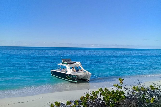 Private 4 Hour Power Catamaran Excursion in Grace Bay - Hotel Pickup and Shuttle