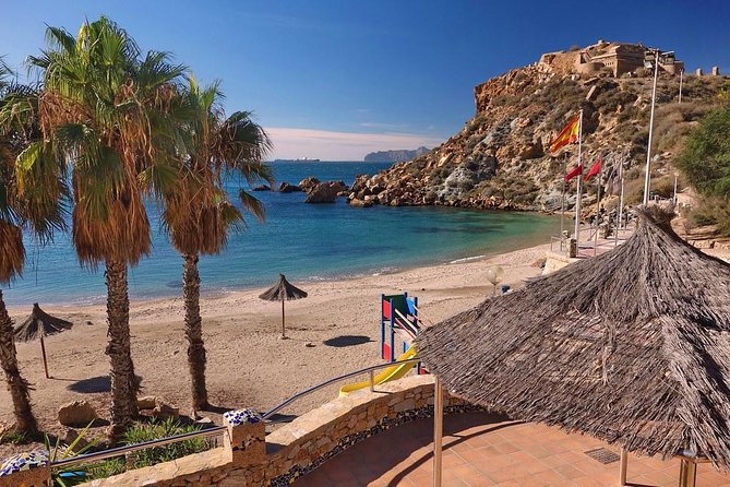 Private 4-Hour Shore Excursion of Cartagena With Driver and Official Guide - Convenient Pickup and Drop-off