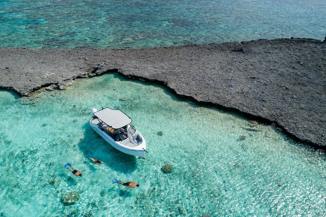 Private 4 Hours Reef Discovery Luxury Private Treasure Hunt in Bora Bora - Good To Know