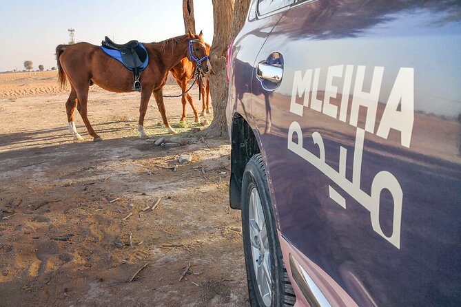 Private 4x4 Mleiha Desert Safari Horse Riding With Museum Visit - Additional Information