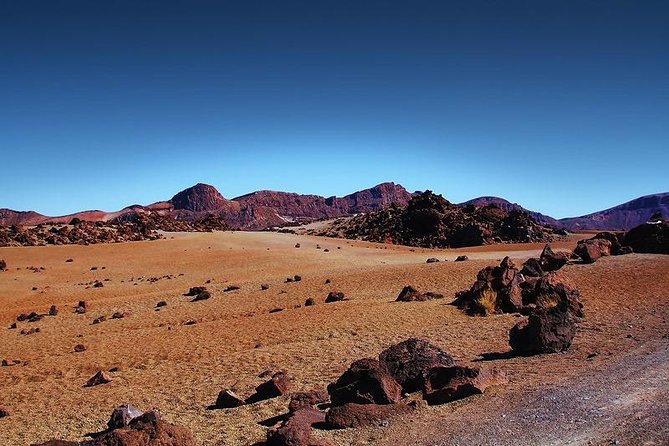 Private 8 Hours Tour to El Teide From Tenerife Hotel With Driver/Guide - Tour Details