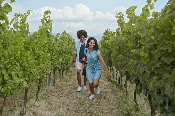 Private Afternoon Wine-Tasting Tour of Niagara, Ontario  - Niagara Falls & Around - Cancellation Policy