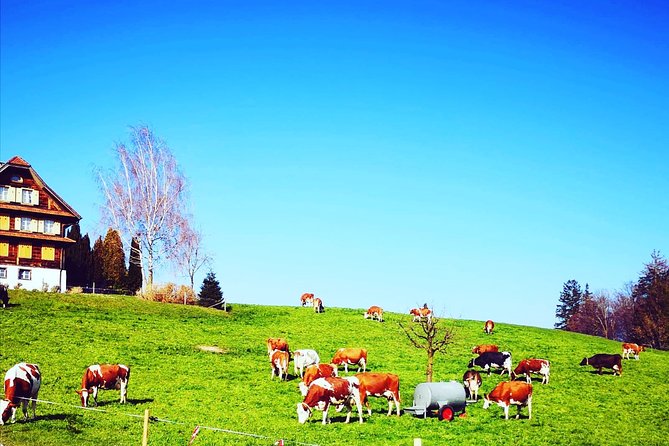 Private Appenzell and Liechtenstein Day Trip From Lucerne - Appenzell: a Journey Into Swiss History