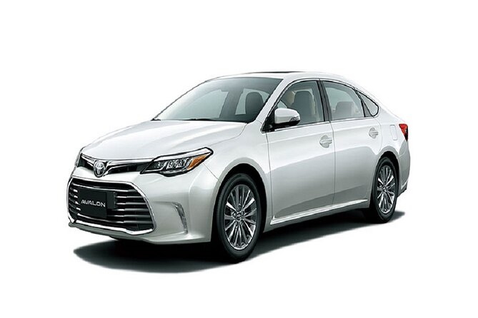 Private Arrival Transfer From Airport or Port to Lusail - Meeting and Pickup Information