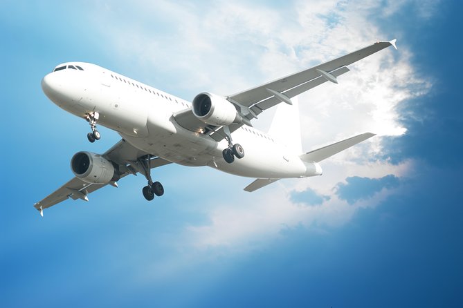 Private Arrival Transfer: Palermo Airport to Palermo Hotel - Service Overview