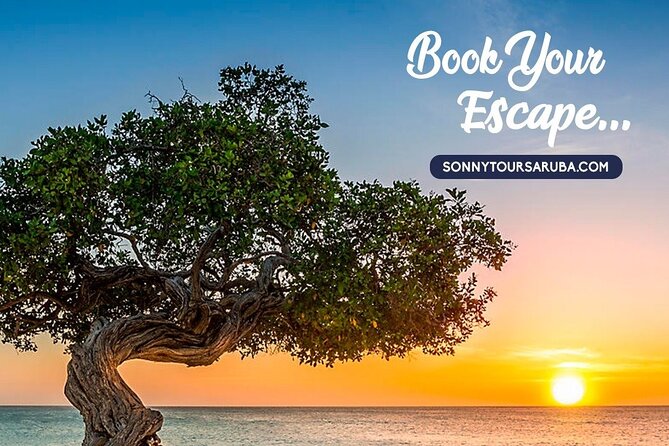 Private Aruba Roundtrip Airport Transfer - Positive Reviews
