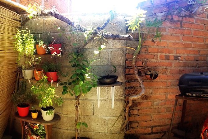 Private Authentic Mexican Cooking Class With a Local Chef Manuel - Overview of the Experience