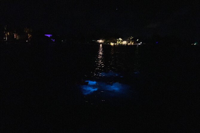 Private: Bioluminescence Tour - 6 Guests - Traveler Photos and Reviews