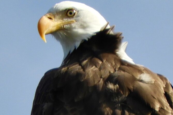 Private Birding Hike in Rocky Mountain National Park - Importance of Private Birding Hikes