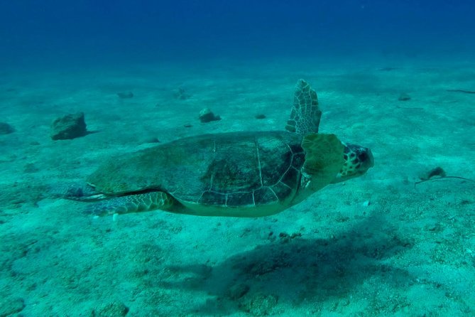 Private Boat Tour to Kekova and Sunken City From Antalya Incl.Transfer - Inclusions