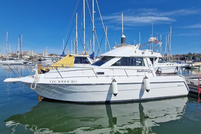 Private Boat Tour With Portuguese Wine and Cheese Tasting - Meet Your Guides