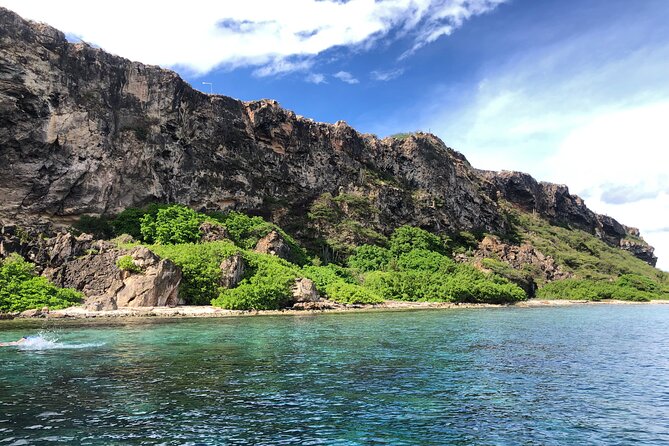 Private Boat Trip Swim, Board or Snorkel - Customize Your Experience