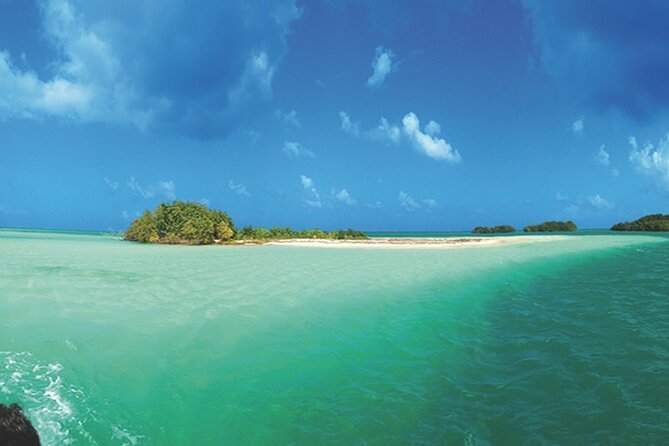 Private Boat Trip With Guide on the Most Beautiful Lagoon of Guadeloupe - Pricing and Options