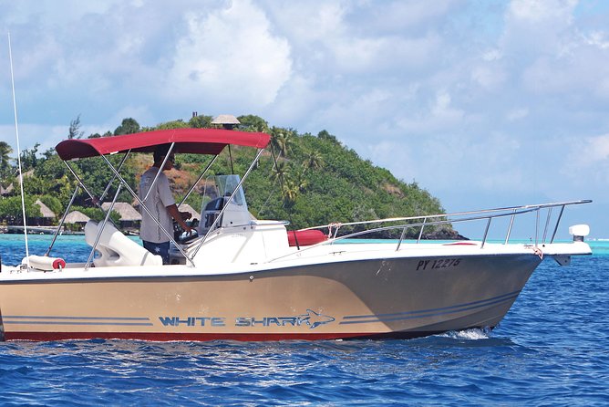 Private Bora Bora Lagoon Experience - Snorkeling and Marine Life