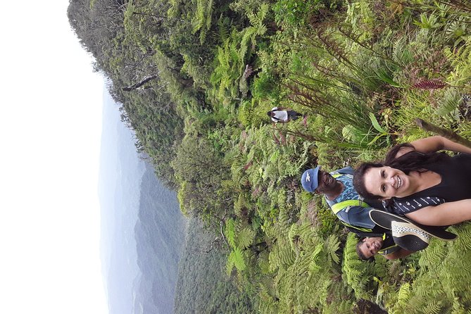 Private Breathtaking Mnt Victoria Day Trek - Traveler Reviews