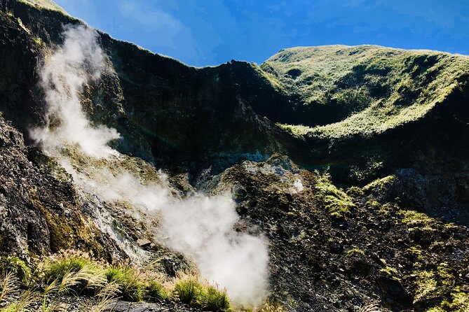 Private Car Charter in Yangmingshan Park(Pro Guide Driver) - Whats Included