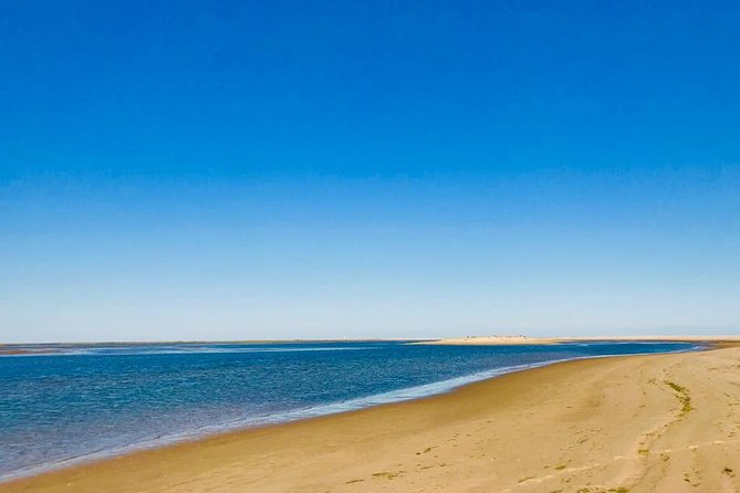 Private Catamaran Boat Tour - Ria Formosa - Authenticity of Reviews