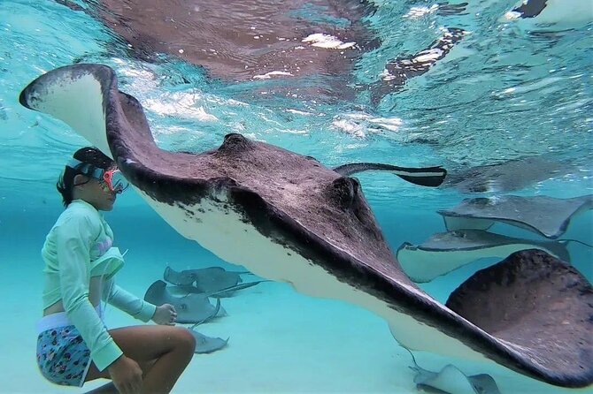 Private Charter 28ft Grady White. Stingrays, Snorkeling, Starfish - Discovering the Fascinating World of Starfish