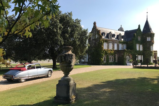 Private City Tour of Bordeaux With Wine Tasting at a Chateau - 3H - Chateau Visit