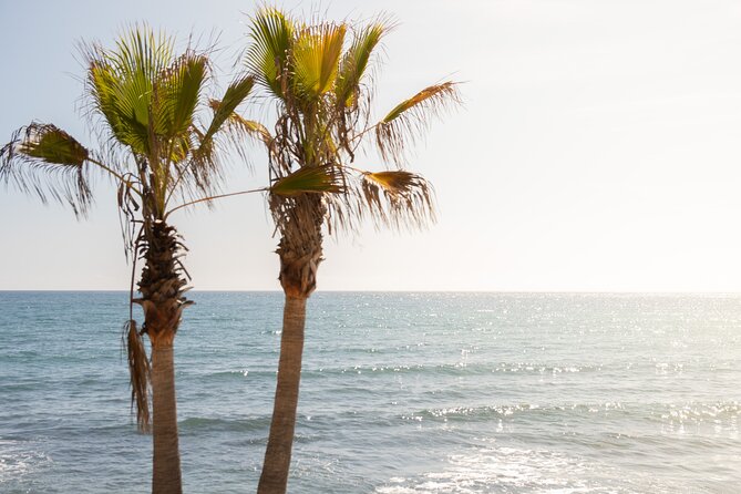 Private City Tour of Marbella and Puerto Banús From Malaga - Itinerary Overview