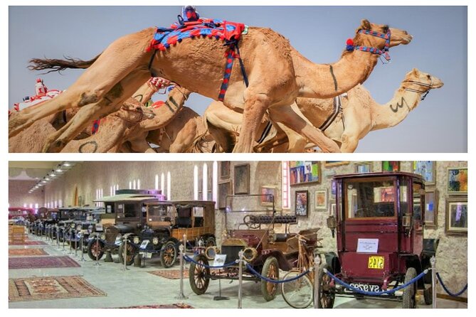 (Private Combo Tour) Sheikh Faisal Museum And Camel Race Track - Traveler Photos and Reviews