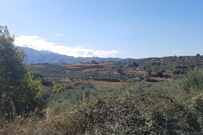 Private Crete Mountain Villages Wine and Food Tour - Highlights