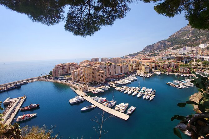 Private Cruise Excursion on the French Riviera - Questions and Assistance