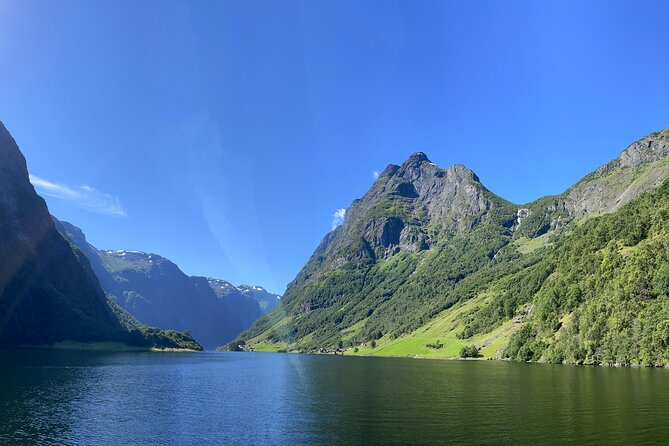 Private Cruise to Sognefjord, Flåm and Nærøyfjord - Inclusions