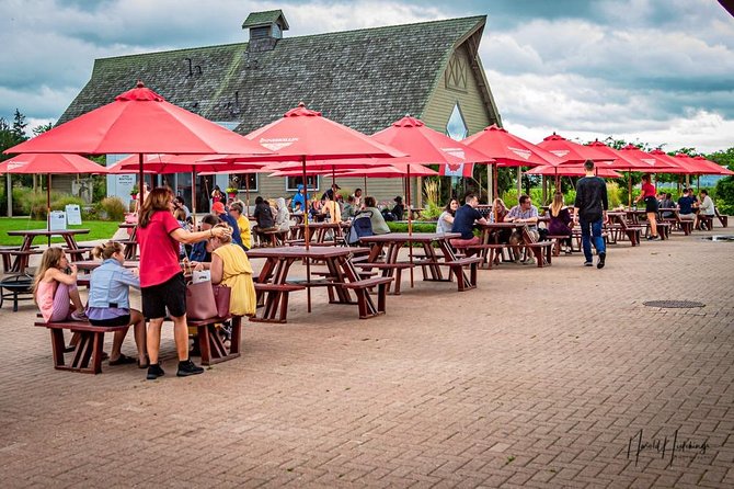 Private Custom-Made Niagara Falls Wine, Beer, and Spirits Tour - Questions and Assistance