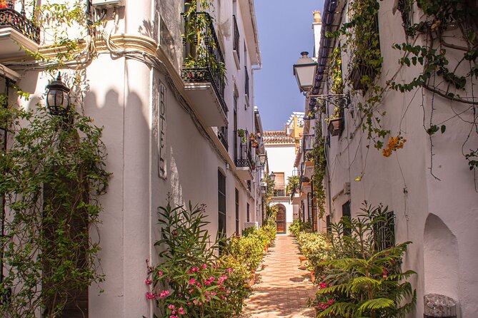 Private Custom Tour With a Local Guide Marbella - Viator Help Center