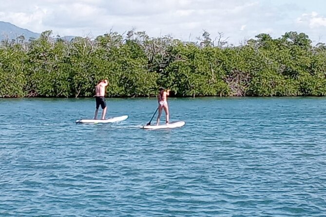Private Day Sail - South Coast of Puerto Rico - Positive Experiences With Captains and Crew