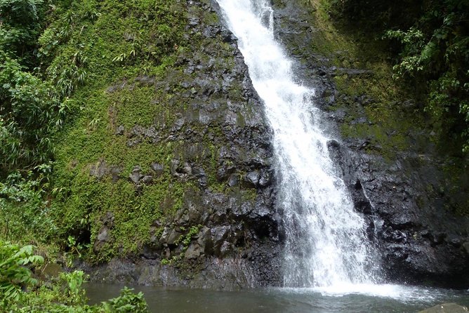 Private Day Tour of the Island and Peninsula of Tahiti - Review Authenticity and Reliability Checks