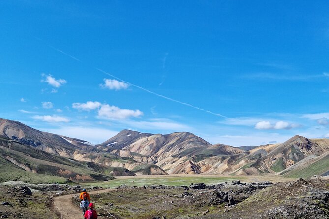 Private Day Trip in Landmannalaugar South Region Area on a 4x4 Truck - Customer Support and Inquiries