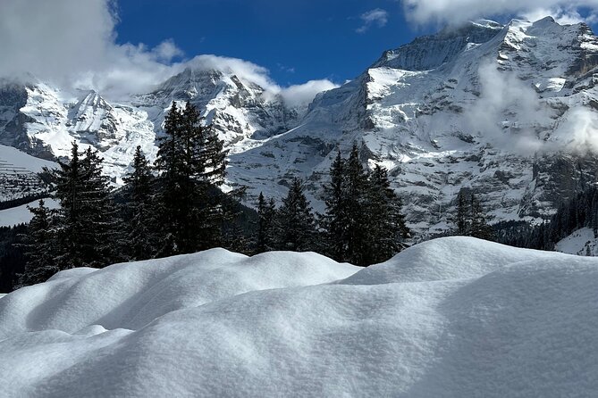 Private Day Trip in the Heart of the ALPS - Jungfrau Region - Outdoor Activities in Jungfrau Region