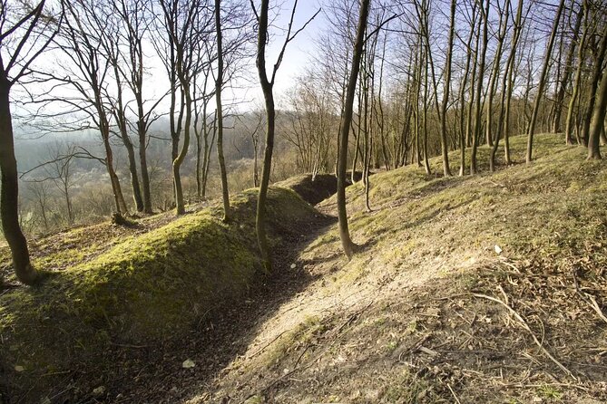 Private Day Trip the Aisne Under German Occupation - German Occupation and Its Impact