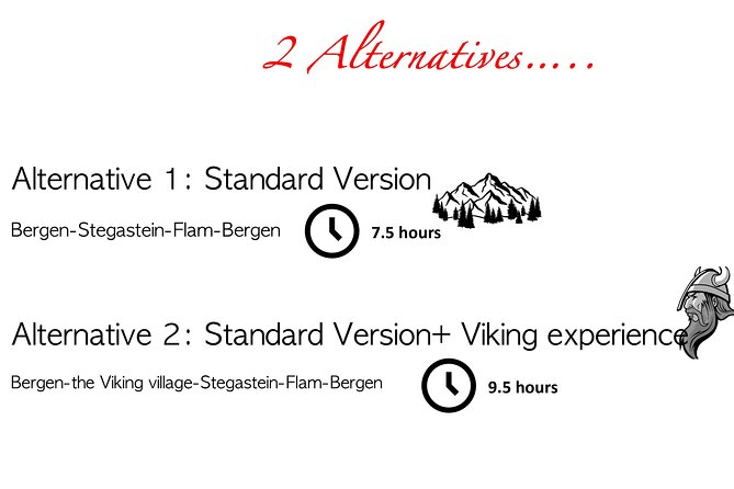 Private Day Trip to Flam and Stegastein - Inclusions and Services