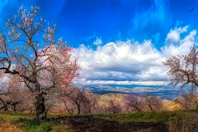 Private Day Trip to Sierra Nevada From Granada With a Local - Local Expert Guide