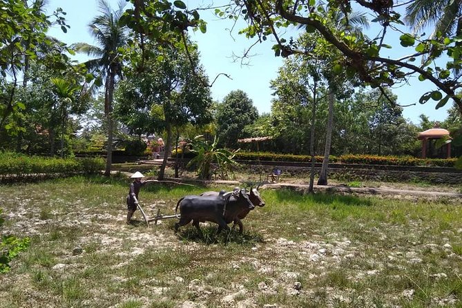 Private Day Trip to Visit MY LAI MASSACRE From Hoi an or Da Nang City - Itinerary and Highlights