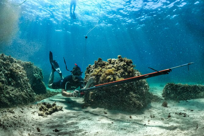 Private Discovery of Underwater Fishing in the Estérel - Best Time to Go Underwater Fishing in Estérel