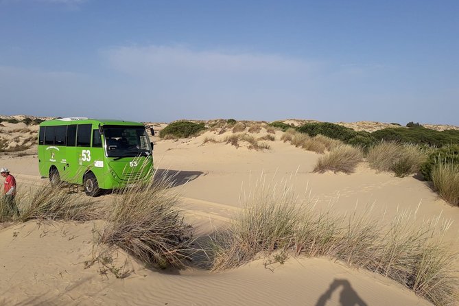 Private Doñana National Park 4x4 - Private 4x4 Tour Experience