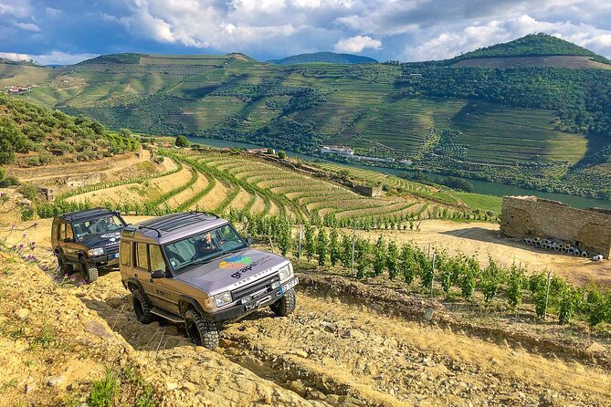 Private Douro and Porto 4x4 Tour With Wine Tasting and Boat Trip - Traveler Reviews