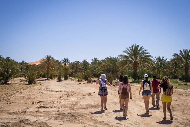 Private Driver for a Full Day in Marrakech - Reviews and Ratings