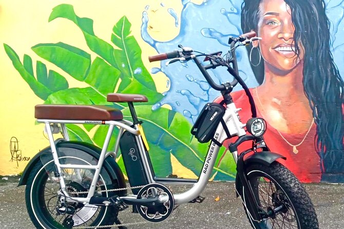 Private E-bike Adventure Tours of Barbados - Inclusions