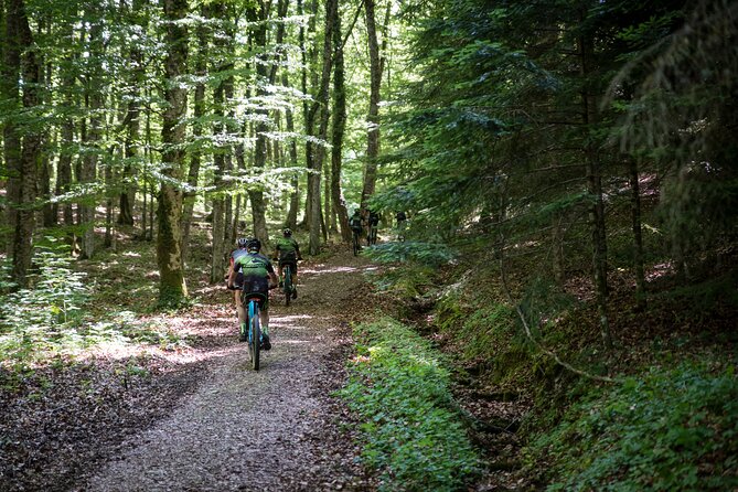 Private E-Bike Tour to Discover Alto Molise - Enjoy a Unique E-Bike Experience