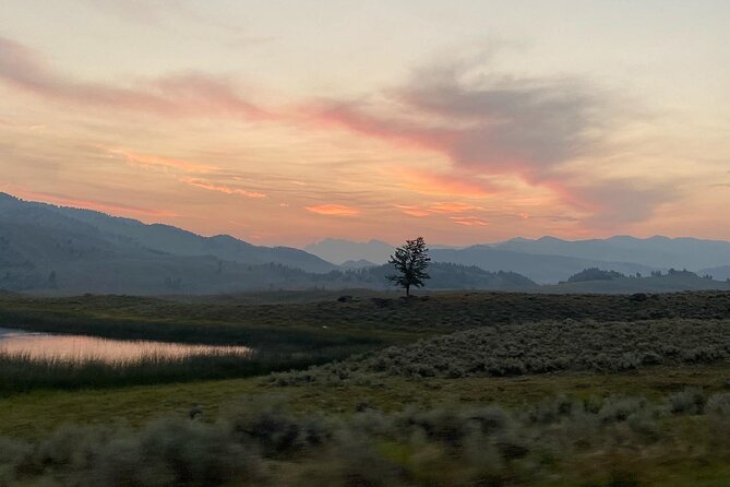 Private Evening/Sunset Wildlife Encounter Tour - Meeting and Pickup Details